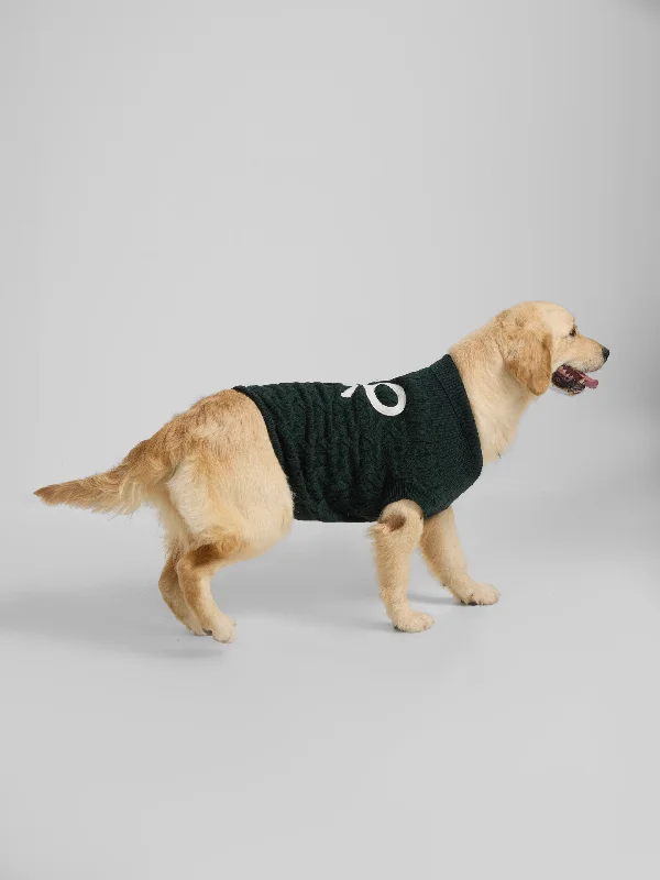 Jersey mascotas cuello vuelto verde Casual Jersey Blouse