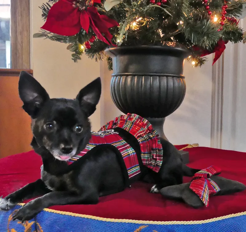 Holiday Tartan Ruffle Dog Skirt for Teacup Vest or Step N Go Harness floral skirt print
